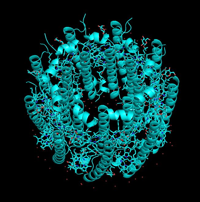 generated biological assembly of 1KZU